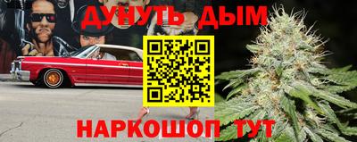 дживик Сланцы