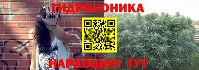 дживик Сланцы