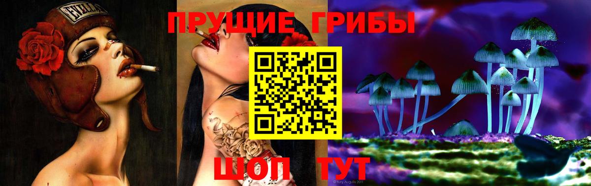 Псилоцибиновые грибы Psilocybe Борзя